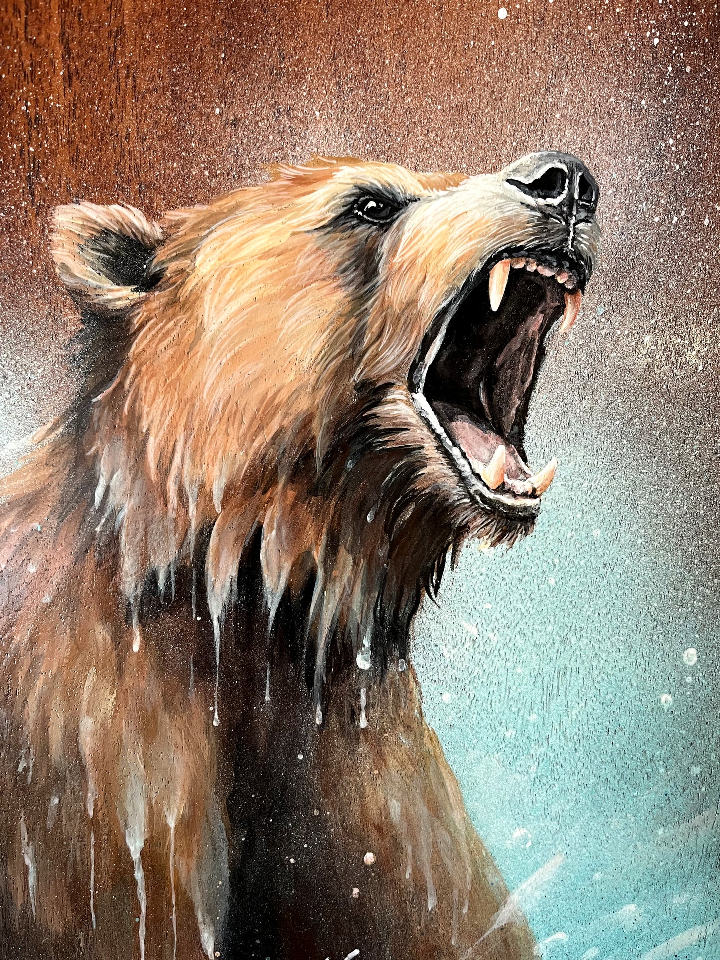 L'OURS ET LE PIRANHA