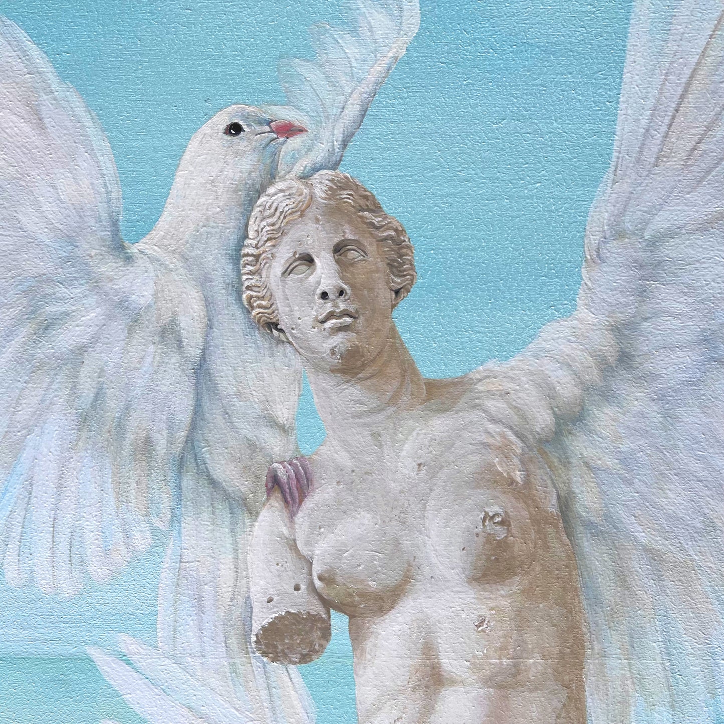 LA VENUS
