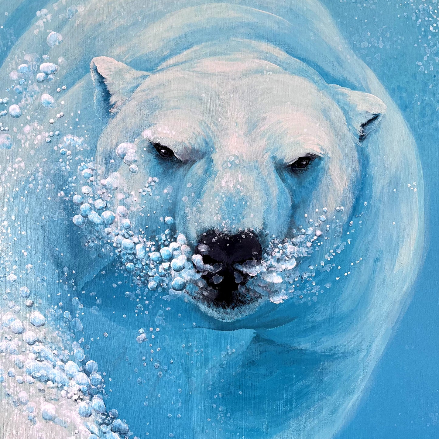 LES OURS