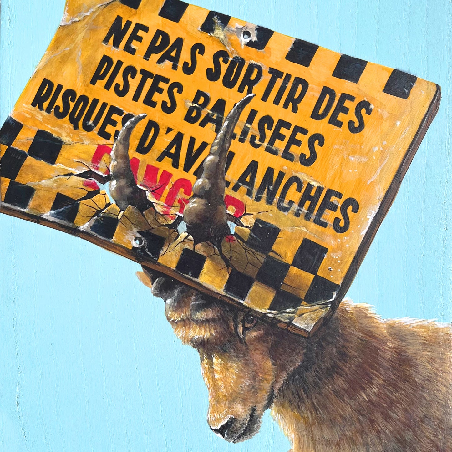 LE BOUQUETIN