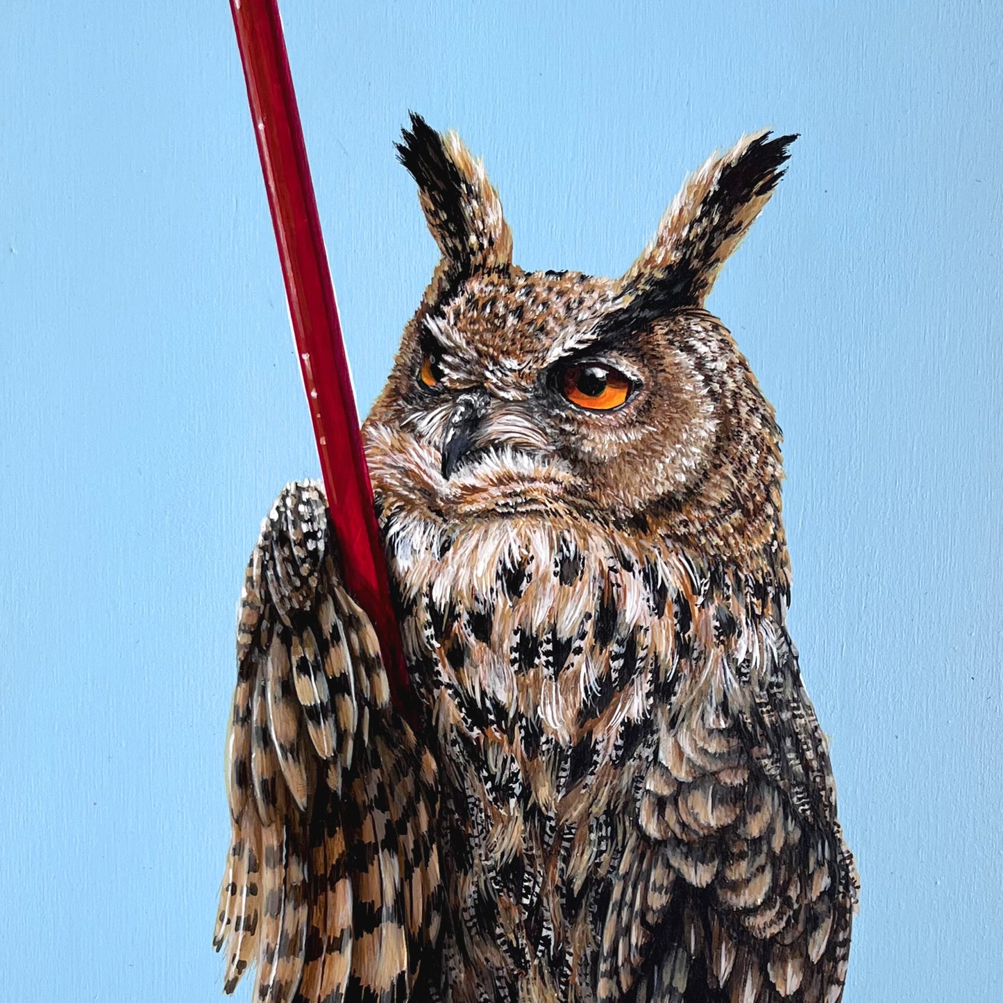 LE HIBOU GRAND DUC