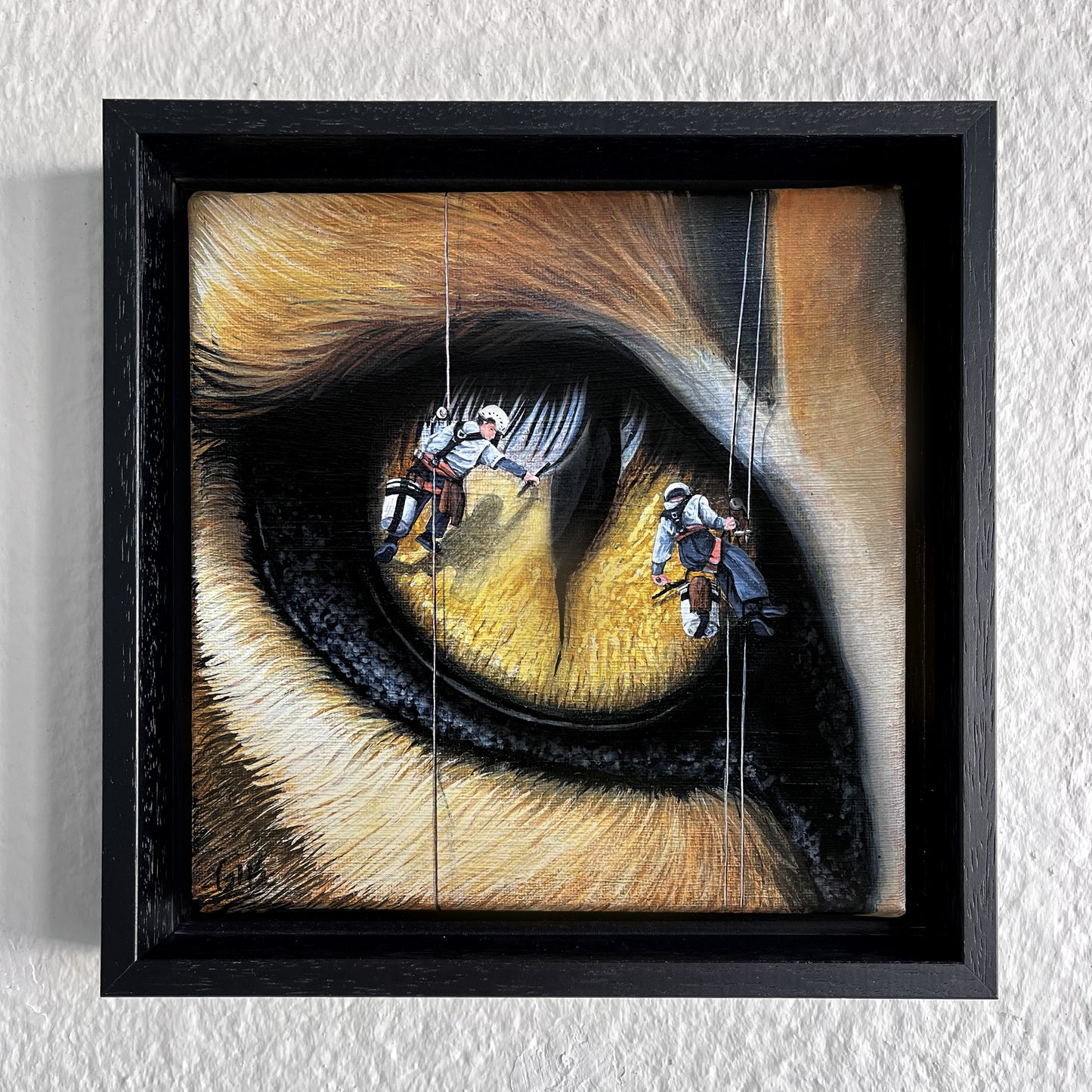 Les laveurs de vitres