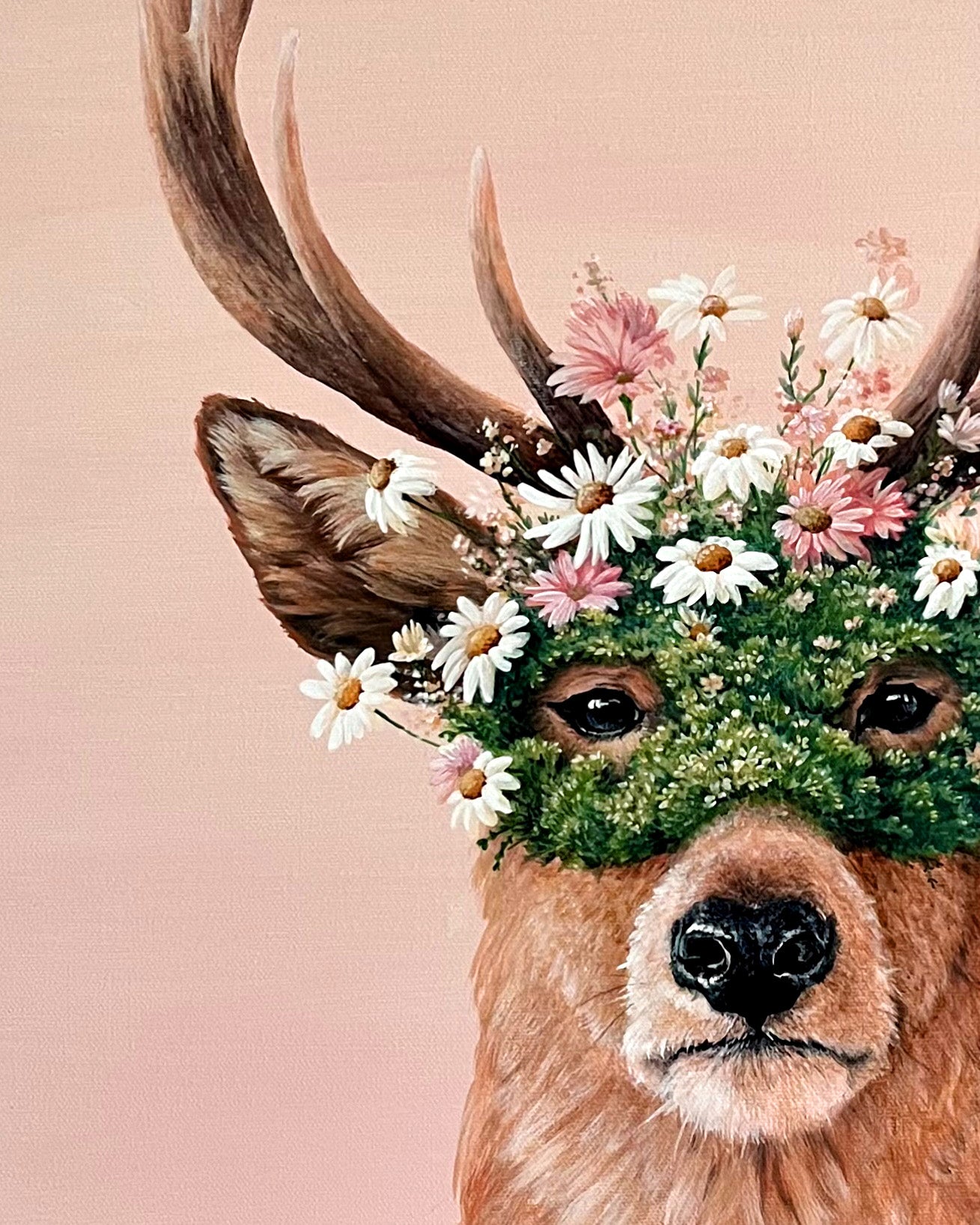 SUPER-CERF