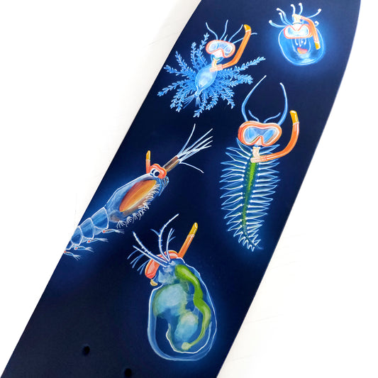 LES ZOOPLANCTONS